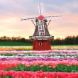 Holanda